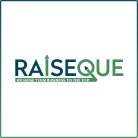 Raiseque logo - Similar company to Feedback Solutions