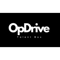 OP Drive logo - Similar company to Hs Digital World