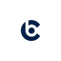 Bluechip Recruitment logo - Similar company to Flex People Solutions Inc
