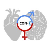 Innovation Center on Sex Differences in Medicine (ICON-✘) logo - Similar company to Huntington Ymca