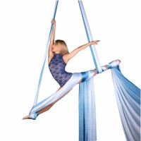 Aerial Silk logo - Similar company to Upswing Aerial Dance Company