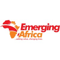 My Emerging Africa - Rural Transformation logo - Similar company to Spark Academy