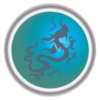 Dragon Tax & Management logo - Similar company to Vigne Inc.