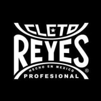 Industria Reyes logo - Similar company to Prosic México