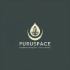 PURUSPACE(PTY)LTD logo - Similar company to The Teacher Coach
