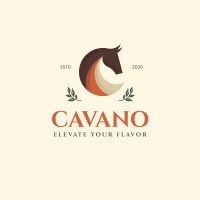 Cavano LLC logo - Similar company to The Motorhub