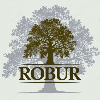Robur Coetus logo - Similar company to Fmp Soluções