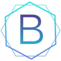BitHacks logo - Similar company to Walnut Infotech