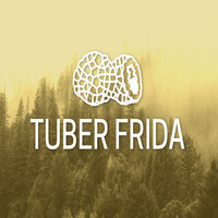 Tuber Frida UG (haftungsbeschränkt) logo - Similar company to Thurgau Institute For Digital Transformation