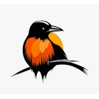 MetaCrow logo - Similar company to Okemos Public Schools