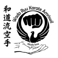 Wado Ryu Karate Amriswil logo - Similar company to Liv - Life Inspired Values