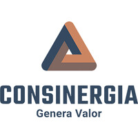 Consinergia logo - Similar company to Altium Consultora