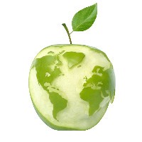 Enormous IT logo - Similar company to Arkatiss Llp