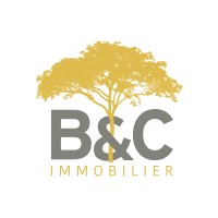 B&C IMMO logo - Similar company to Era Immpuls