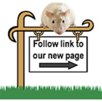 Rat Genome Database