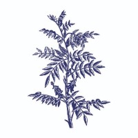 Indigo Branch logo - Similar company to Pet Besty