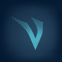 VeeVee Soft - Software Consulting Company logo - Similar company to Clevit
