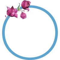 Zoe Modern Greek Kouzina logo - Similar company to Lôr Paris