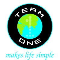 Team One Tech Solutions LLP logo - Similar company to Cognitive It