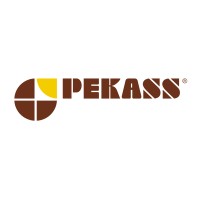 PEKASS logo - Similar company to Pekass A.S.