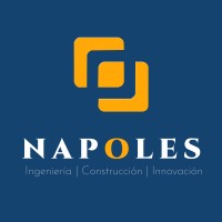 Constructora Nápoles logo - Similar company to Constructora 308 Srl.