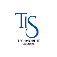 Techmore It Solutions Pvt Ltd. logo - Similar company to Nexellence Solutions
