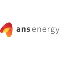 ANS Energy logo - Similar company to Ailes Group Ng