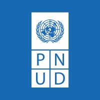 PNUD Mali logo - Similar company to Help - Hilfe Zur Selbsthilfe Mali