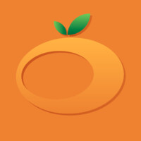 Tangerine Design - Brasil logo - Similar company to Brasil Na Web