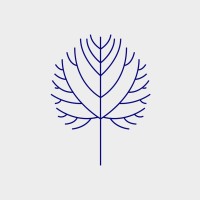 Lindenbaum-Litigators