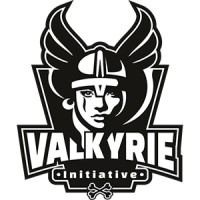 Valkyrie Initiative logo - Similar company to Retora Games Llc