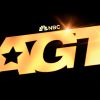 America's got talent personal logo - Similar company to Beta Media