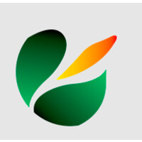 Diplomacy Creative logo - Similar company to Fellas