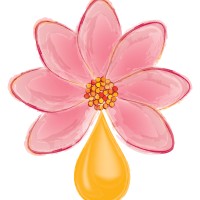 Essential Oils and You logo - Similar company to Loving Essential Oils