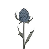 Thistle Wealth Management logo - Similar company to Philly Frassati