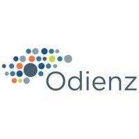 Odienz Consulting logo - Similar company to Scout Consulting
