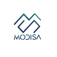 Modisa Group logo - Similar company to Pulse Core - Building Value