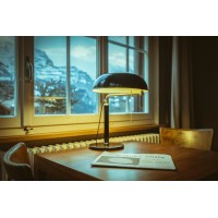 Alpenruhe Wengen - Vintage Design Hotel logo - Similar company to Drei Berge Hotel