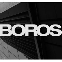 Boros Capital logo - Similar company to Safe Consig