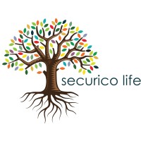 Securico Life Insurance Company logo - Similar company to Slam Solutions