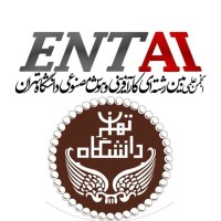 Iran Entrepreneurship & Artificial Intelligence logo - Similar company to Tphome خانه ترویج تجارت