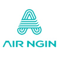 AirNgin | ایر انجین logo - Similar company to Nano Systems Engineering,