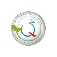 Q3 Elemento Patagonia logo - Similar company to Hielogic