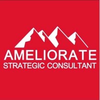 Ameliorate Strategic Consultants logo - Similar company to Crikick