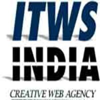 ITWS India logo - Similar company to Mytechsavior