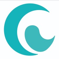Tsunami Creativo logo - Similar company to Socarrat Studio, S.L.