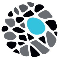 Blue Stone Strategy Partners