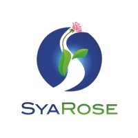 SyaRose Technology Services Inc logo - Similar company to Smart Computers & Consulting, Llc