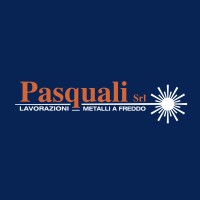 Pasquali Srl logo - Similar company to Vortex Hydra S.R.L.