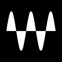 Waves Audio logo - Similar company to Native Instruments